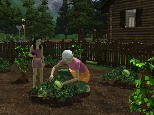 Les Sims 3 : Hidden Springs (code prépayé) [Importación francesa]