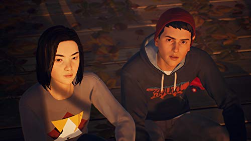 Life is Strange 2 pour PS4 [Importación francesa]