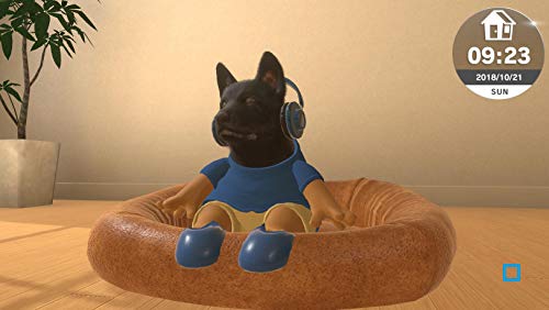 Little Friends - Dogs & Cats