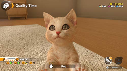 Little Friends: Dogs & Cats (Nintendo Switch)