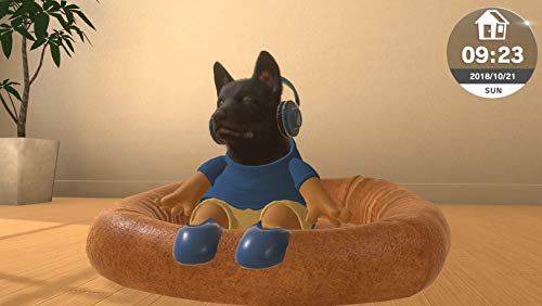 Little Friends: Dogs & Cats (Nintendo Switch)