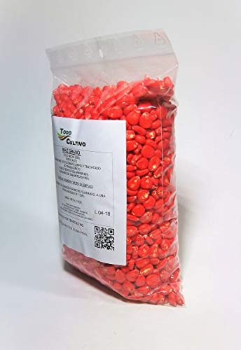 Maíz híbrido para sembrar de ciclo medio-largo (600) no transgénico. 1 Kilo