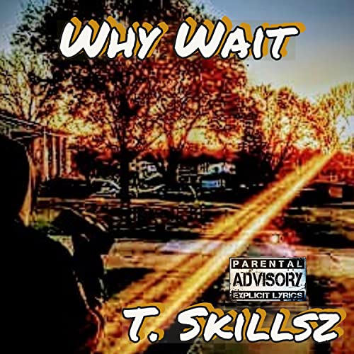 Mega Man & Zero [Explicit]