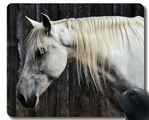 Mousepad de Goma Modificado para requisitos particulares, Crin de la Cabeza de Caballo con la Frontera Cosida