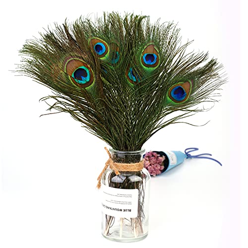 MWOOT 50 pcs Plumas Pavo Real, Plumas Ojo Pavo Real Verde para Arte de Manualidades Bricolaje, Plumas Cola Pavo Real para Decoración Banquete de Boda de la Mascarada del Carnaval (28-32CM)