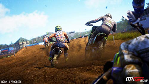 MXGP 2019 - PlayStation 4 [Importación alemana]