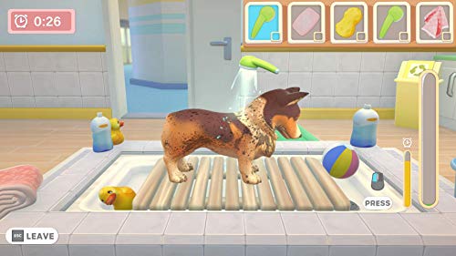 My Universe: Pet Clinic Cats & Dogs - Nintendo Switch - Nintendo Switch [Importación francesa]