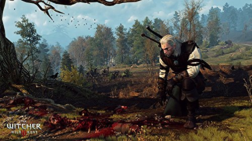 Namco Bandai Witcher 3 Wild Hunt GOTY (Xbox One) (112100)