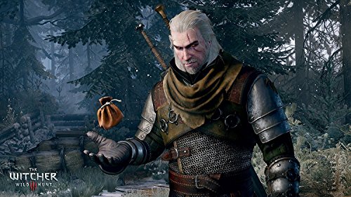 Namco Bandai Witcher 3 Wild Hunt GOTY (Xbox One) (112100)