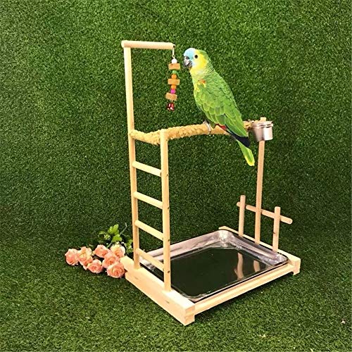 NgMik Parque de Aves Mediano y Grande del Loro del Loro de Madera Maciza Soporte Juguete oscilación de la jerarquía del pájaro Pepper Tree Birds Swing Wood Gym Tabletop Ejercicio Jugar