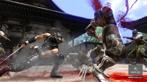 Ninja Gaiden 2 [Importación francesa]