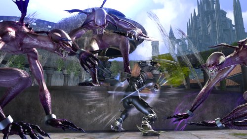 Ninja Gaiden 2 [Importación Japonesa]