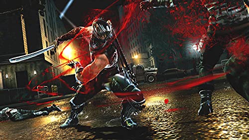 Ninja Gaiden 3 [Importación francesa]