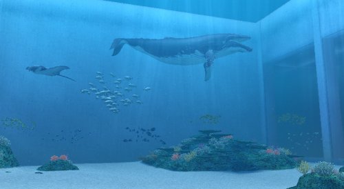 Nintendo Endless Ocean - Juego (Simulación, Arika)