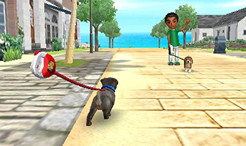 Nintendogs + Cats Bouledogue Français & Ses Nouveaux Amis - Nintendo Selects [Importación Francesa]