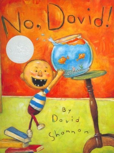 No David! (Caldecott Honor Book)