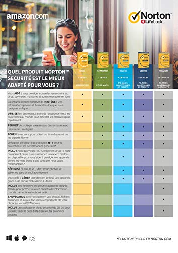 NORTON Security Deluxe 3.0 FR Antivirus (1 utilisateur / 3 appareils) 2018