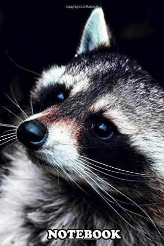 Notebook: Poster Of A Raccoon With A Subtle Red Sheen Over His He , Journal for Writing, College Ruled Size 6" x 9", 110 Pages