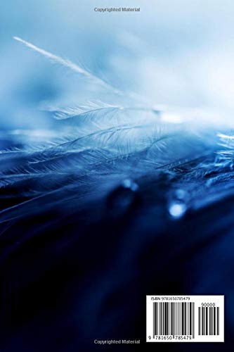 Notebook: Radiance , Journal for Writing, College Ruled Size 6" x 9", 110 Pages