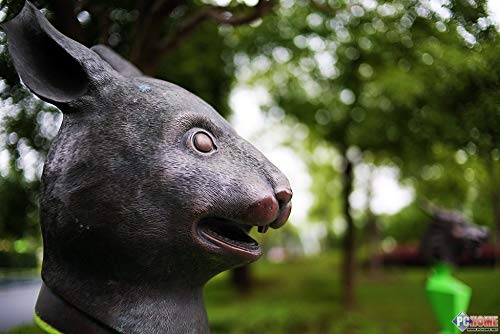 Objetivo Yongnuo YN-35mm F/2 para cámaras DSLR Nikon - Auto Enfoque AF/MF