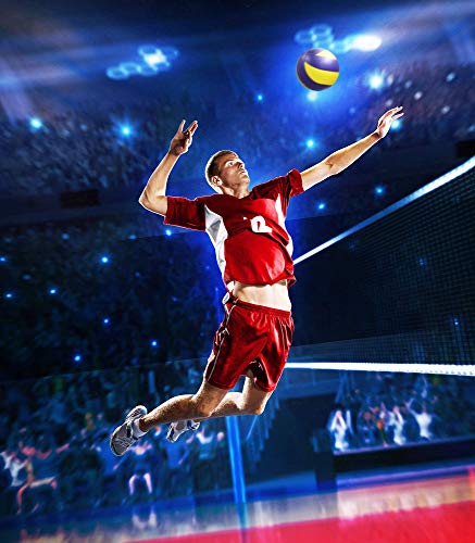 Oizumi-Hameau Geo Spike Volleyball - PS4 [video game]