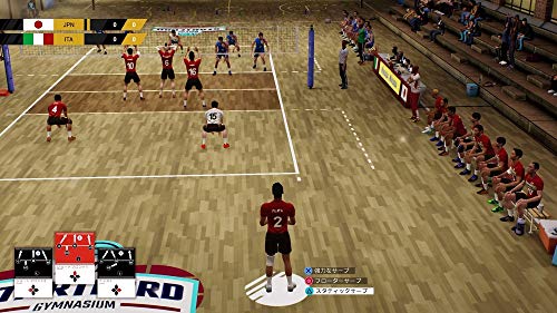 Oizumi-Hameau Geo Spike Volleyball - PS4 [video game]