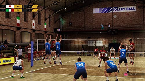 Oizumi-Hameau Geo Spike Volleyball - PS4 [video game]