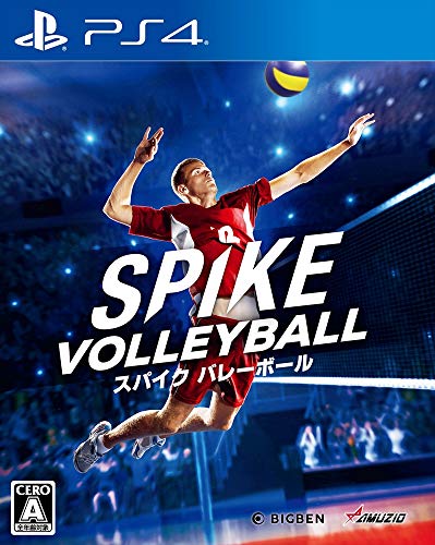 Oizumi-Hameau Geo Spike Volleyball - PS4 [video game]