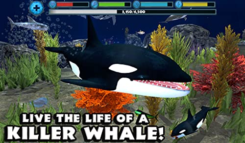 Orca Simulator