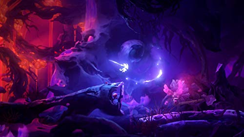 Ori and the Will of the Wisps (Nintendo Switch)