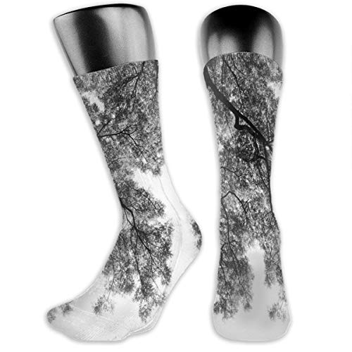 Papalikz Compression Medium Calf Socks,Photograph Of Trees From The Ground With Branches And Leaves Artwork Image