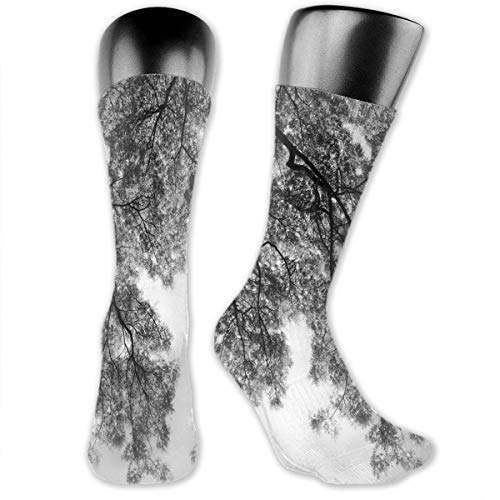 Papalikz Compression Medium Calf Socks,Photograph Of Trees From The Ground With Branches And Leaves Artwork Image