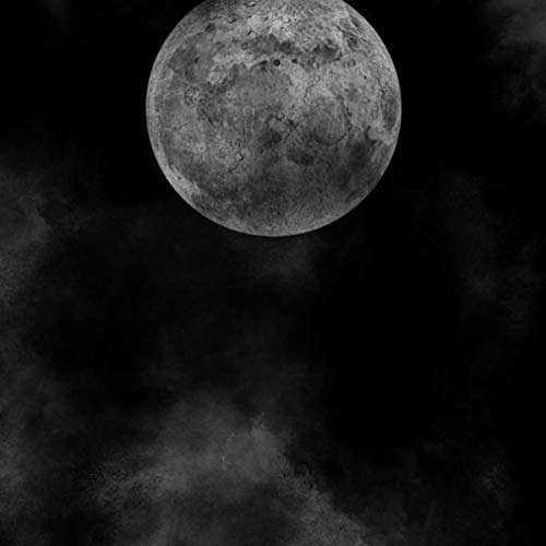 Paved The Way [Explicit]