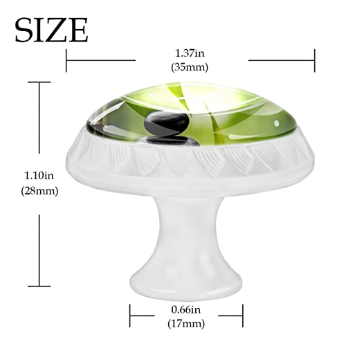 Perilla del gabinete,manijas 4 perillas de puerta del gabinete de cocina del cajón de las PC Still Life Zen Basalt Stones Vaso de cristal