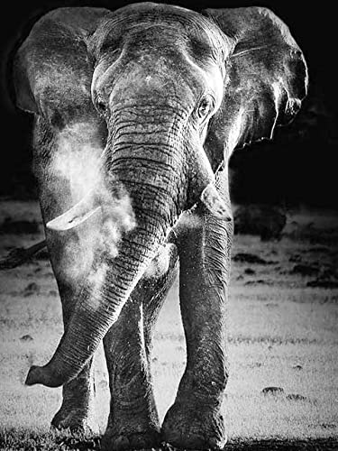 Pintura de diamante blanco y negro, taladro redondo cuadrado completo, punto de cruz, bordado de diamantes, elefante, mosaico de animales, venta artesanal A15 50x70cm