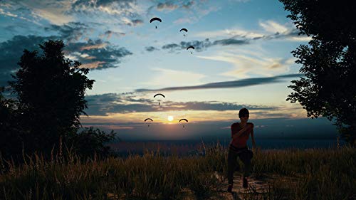 Player Unknowns Battlegrounds (xbox_one) [Importación inglesa]