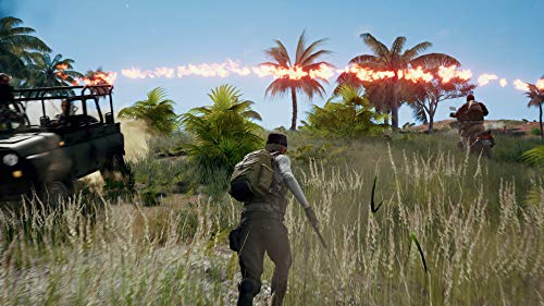 Player Unknowns Battlegrounds (xbox_one) [Importación inglesa]