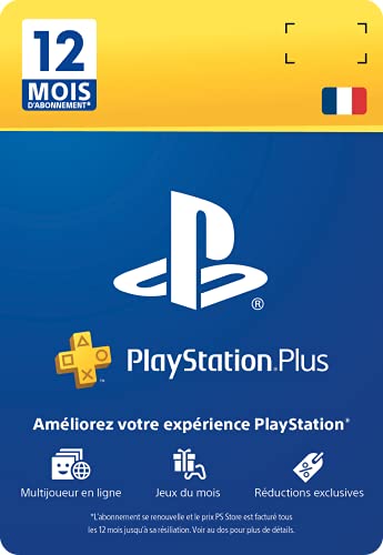 Playstation Plus Card Hang - Abonnement 12 Mois [Importación Francesa]
