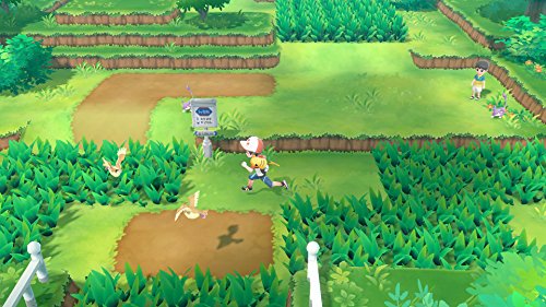 Pokemon Let's Go Eevee for Nintendo Switch [USA]