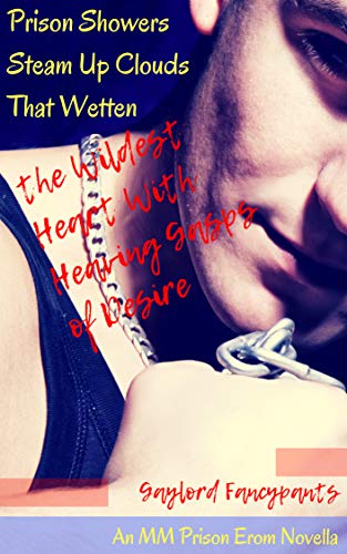 Prison Showers Steam Up Clouds That Wetten the Wildest Heart With Heaving Gasps of Desire: An MM Prison Erom Novella (Alaskan Prisoners Fall in Love Like ... Stentorian Lies Book 2) (English Edition)