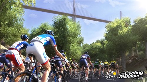 Pro Cycling Manager - Tour De France 2015 [Importación Francesa]