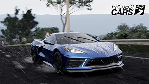 Project Cars 3 - PlayStation 4 [Importación italiana]