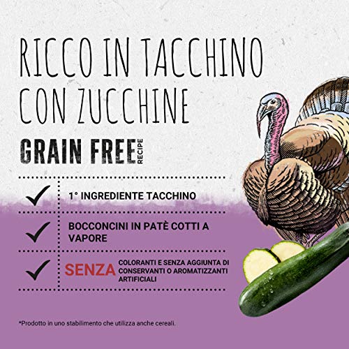 Purina Beyond Húmedo - Comida para Perro Grain Free de paté con Pavo y Calabazas, 12 latas de 400 g Cada uno, Paquete de 12 x 400 g