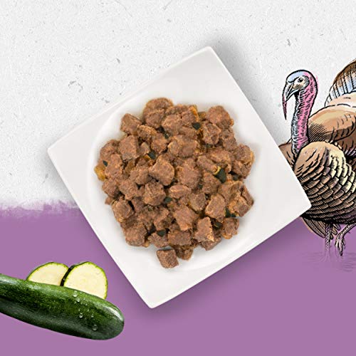 Purina Beyond Húmedo - Comida para Perro Grain Free de paté con Pavo y Calabazas, 12 latas de 400 g Cada uno, Paquete de 12 x 400 g