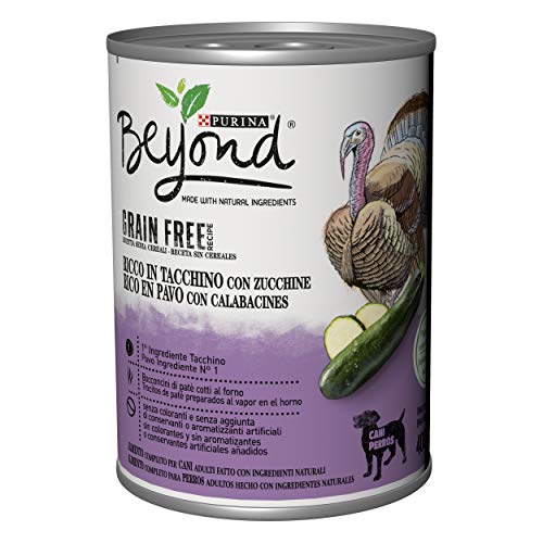 Purina Beyond Húmedo - Comida para Perro Grain Free de paté con Pavo y Calabazas, 12 latas de 400 g Cada uno, Paquete de 12 x 400 g
