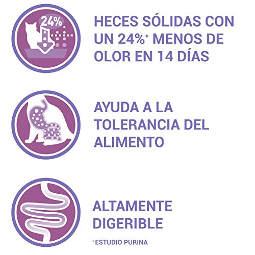 Purina ONE Bifensis Pienso para gatos con la Digestión Sensible, pavo y arroz 8 x 800 g