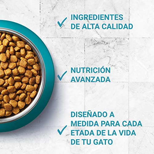 Purina ONE Bifensis Pienso para gatos con la Digestión Sensible, pavo y arroz 8 x 800 g