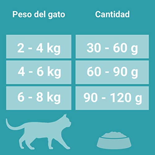 Purina ONE Bifensis Pienso para gatos con la Digestión Sensible, pavo y arroz 8 x 800 g