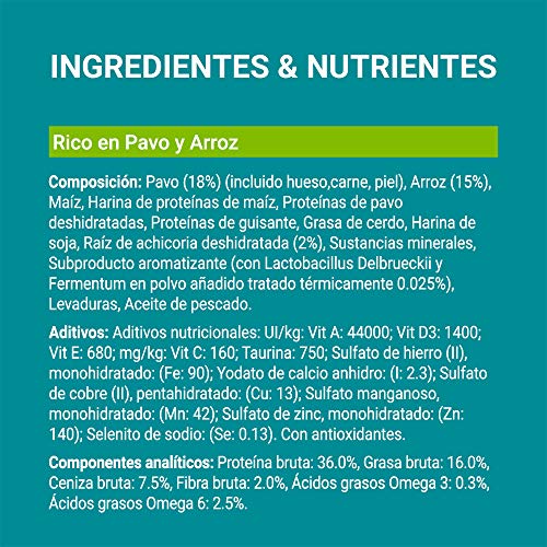 Purina ONE Bifensis Pienso para gatos con la Digestión Sensible, pavo y arroz 8 x 800 g