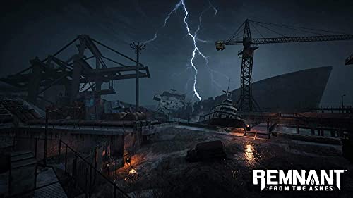 Remnant From the Ashes (PC Game)